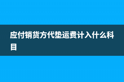 应付销货方代垫运费应计入什么科目?(应付销货方代垫运费计入什么科目)