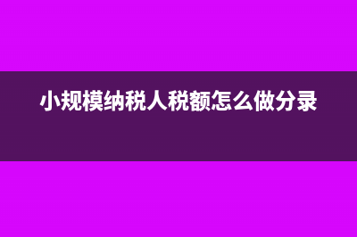 小规模纳税人税率及免税政策(小规模纳税人税额怎么做分录)