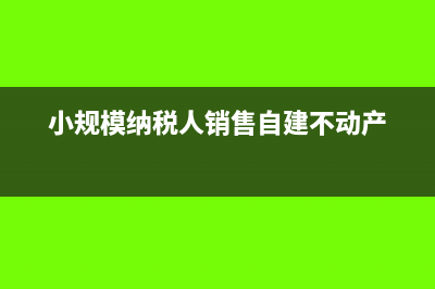 小规模纳税人销售货物如何结转成本?(小规模纳税人销售自建不动产)
