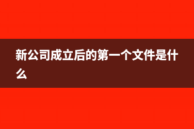 新公司成立后的税务登记流程怎么操作(新公司成立后的第一个文件是什么)