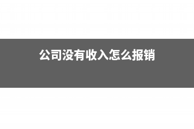 公司没有收入怎么对做账(公司没有收入怎么报销)