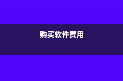 购买软件多少钱算是无形资产呢(购买软件费用)