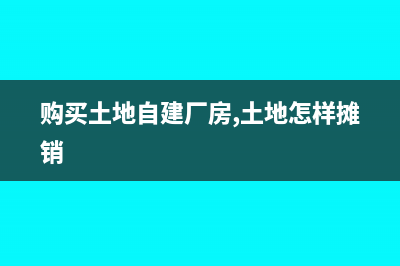 自建厂房购买土地会计分录(购买土地自建厂房,土地怎样摊销)