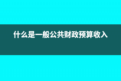 什么是一般公共预算支出(什么是一般公共财政预算收入)