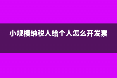 小规模纳税人给个人开普通发票可以吗(小规模纳税人给个人怎么开发票)