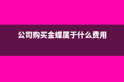 公司购买的金蝶软件是否计入无形资产(公司购买金蝶属于什么费用)