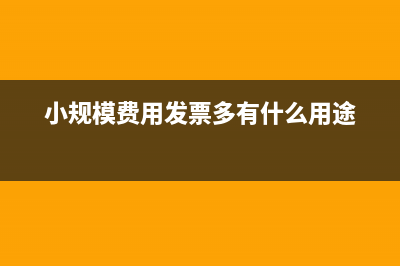 小规模费用发票怎么做账(小规模费用发票多有什么用途)