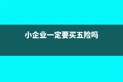 小企业一定要买账本手工建账吗(小企业一定要买五险吗)