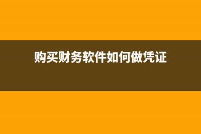 购买财务软件如何入账(购买财务软件如何做凭证)