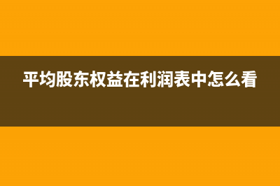 平均股东权益在财务报表哪里(平均股东权益在利润表中怎么看)