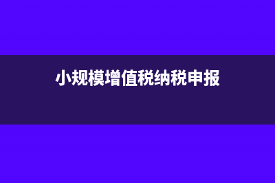 小规模增值税纳税申报表填写怎么操作(小规模增值税纳税申报)