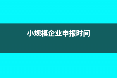 小规模企业申报企业所得税的营业成本栏怎么填(小规模企业申报时间)
