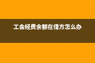 工会经费余额在借方允许吗(工会经费余额在借方怎么办)