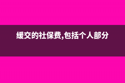 缓交社保个税怎么报?(缓交的社保费,包括个人部分)