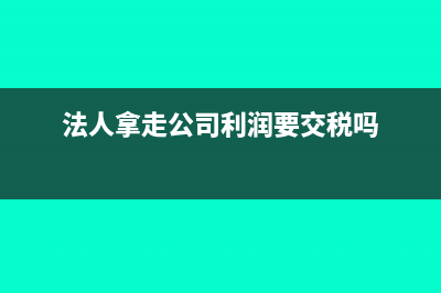 法人拿公司利润作其他用途分录(法人拿走公司利润要交税吗)