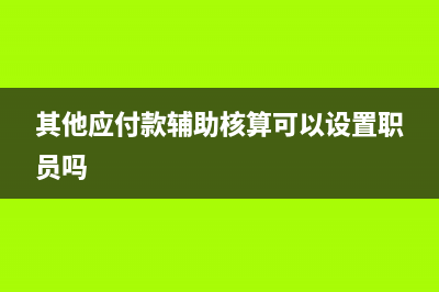 其他应付款辅助核算怎么设置(其他应付款辅助核算可以设置职员吗)