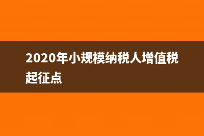 2020年小规模纳税人如何报税?(2020年小规模纳税人增值税起征点)