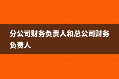 分公司财务负责人可以和总公司是一个人吗(分公司财务负责人和总公司财务负责人)
