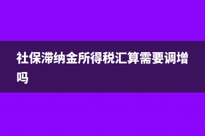 社保滞纳金所得税表填哪里(社保滞纳金所得税汇算需要调增吗)
