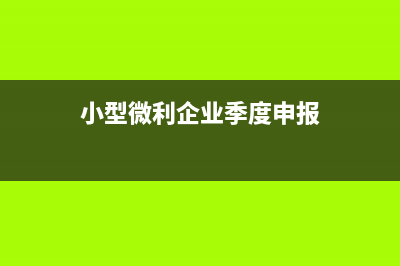 季度小型微利企业怎么纳税(小型微利企业季度申报)