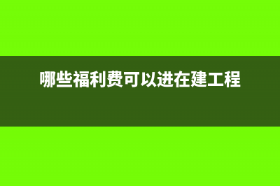 哪些福利费可以不缴纳个税(哪些福利费可以进在建工程)