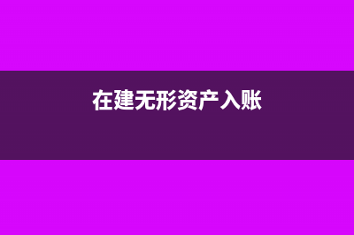 无形资产有在建工程吗(在建无形资产入账)