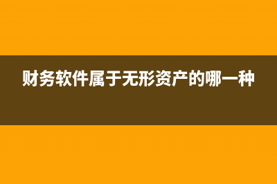 财务软件属于无形资产的哪一类(财务软件属于无形资产的哪一种)