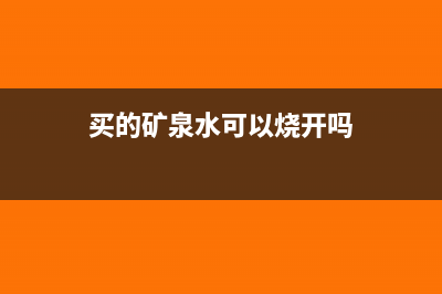购买的矿泉水能否进项抵扣(买的矿泉水可以烧开吗)