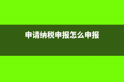 申报纳税怎么申报(申请纳税申报怎么申报)