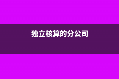独立核算的分公司企业所得税是多少(独立核算的分公司)