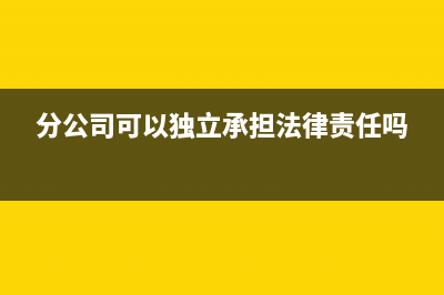 分公司可以独立发工资吗(分公司可以独立承担法律责任吗)