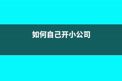 小型公司怎么自己报税(如何自己开小公司)