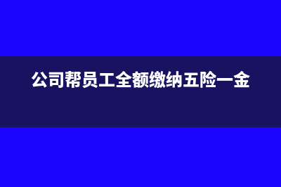公司帮员工全额缴纳怎么入账(公司帮员工全额缴纳五险一金)