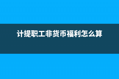 计提职工非货币性凭证分录(计提职工非货币福利怎么算)