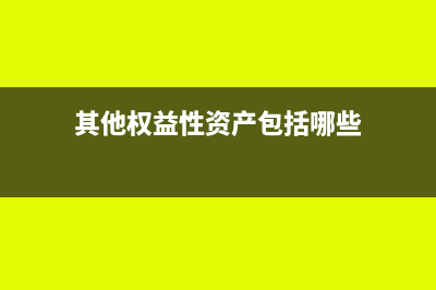 其他权益性资产计入什么科目(其他权益性资产包括哪些)