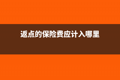 返点的保险费应该做什么分录(返点的保险费应计入哪里)