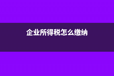 企业所得税怎么做账务处理(企业所得税怎么缴纳)