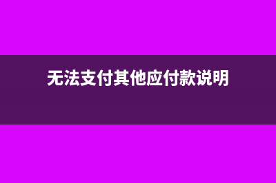 无法支付其他应付款会计分录(无法支付其他应付款说明)