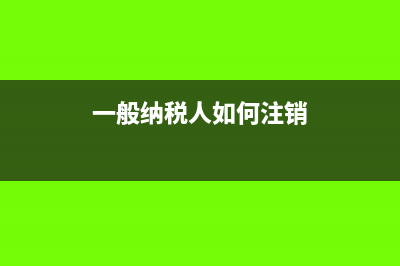 一般纳税人如何报个人所得税(一般纳税人如何注销)