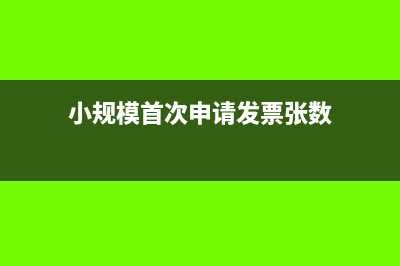 小规模首次申请发票后怎么交税(小规模首次申请发票张数)