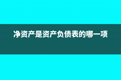 净资产是资产负债表的哪个数据(净资产是资产负债表的哪一项)