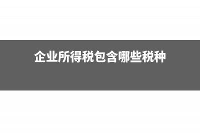 企业所得税包含个人所得税吗(企业所得税包含哪些税种)
