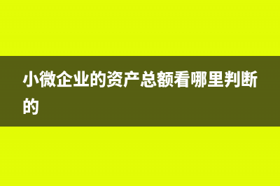 小微企业的资产总额是注册资本吗(小微企业的资产总额看哪里判断的)