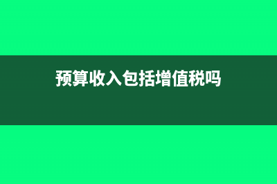 预算收入类增加记什么方(预算收入包括增值税吗)