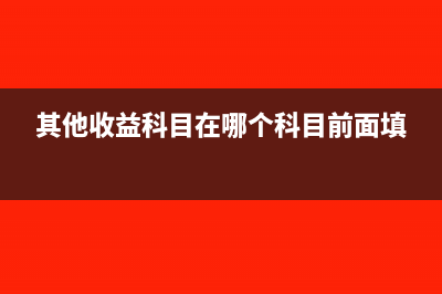 其他收益科目在利润表怎么体现(其他收益科目在哪个科目前面填)