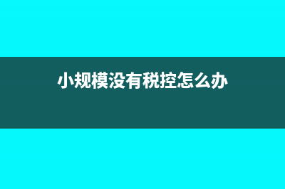 小规模没有税控盘怎么报税(小规模没有税控怎么办)