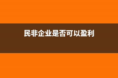 民非企业是否可以长期待摊(民非企业是否可以盈利)
