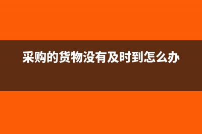 采购的货物没有发票怎么办(采购的货物没有及时到怎么办)