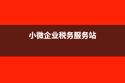 小微企业0税务报税流程(小微企业税务服务站)