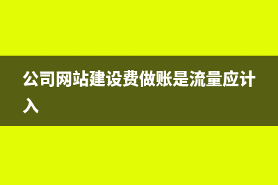 公司网站建设费进什么科目(公司网站建设费做账是流量应计入)